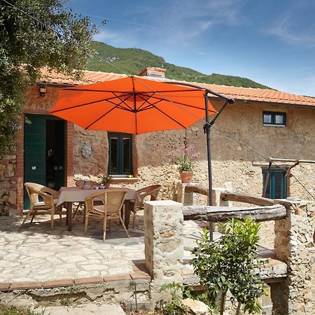 Casa Berti - Urlaub Im Olivenhain كامايوري المظهر الخارجي الصورة