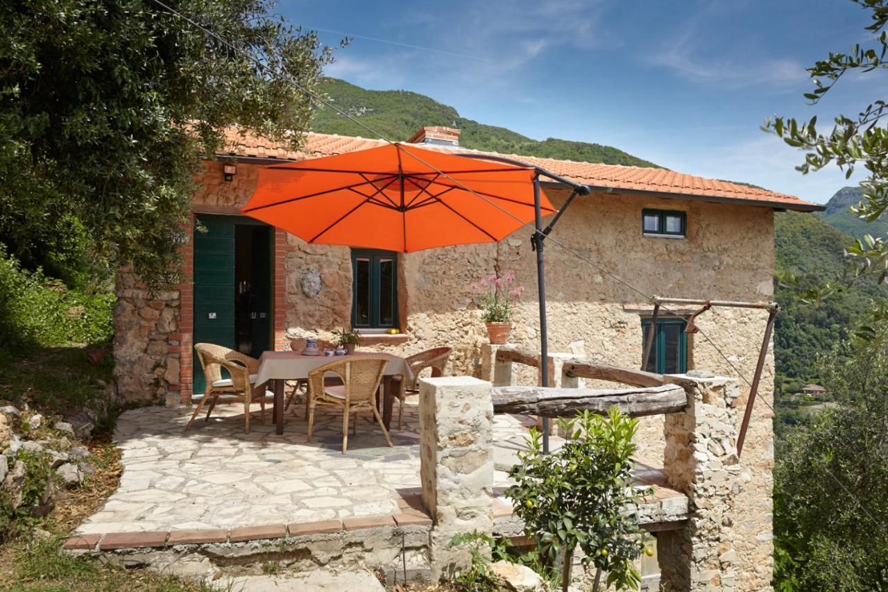 Casa Berti - Urlaub Im Olivenhain كامايوري المظهر الخارجي الصورة