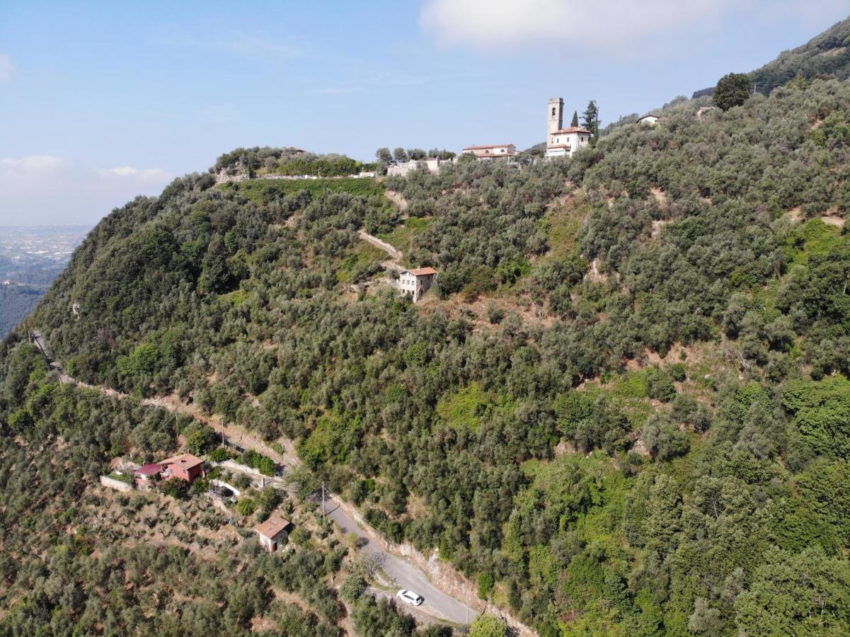 Casa Berti - Urlaub Im Olivenhain كامايوري المظهر الخارجي الصورة