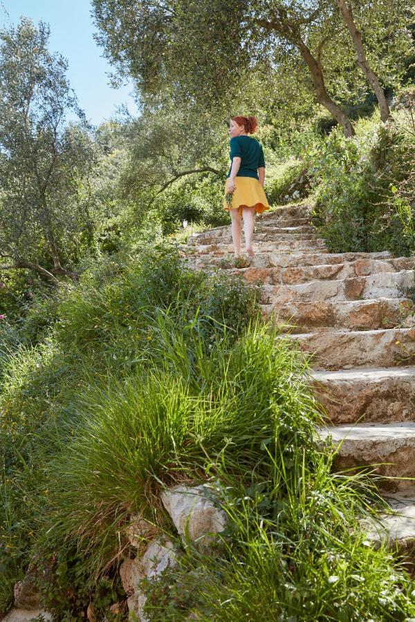 Casa Berti - Urlaub Im Olivenhain كامايوري المظهر الخارجي الصورة