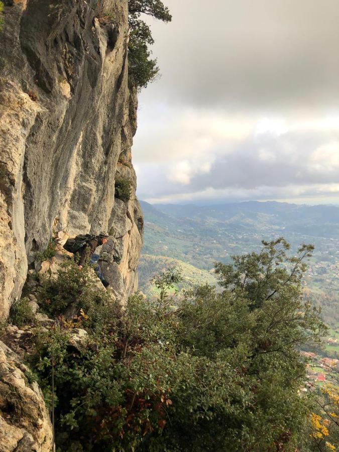 Casa Berti - Urlaub Im Olivenhain كامايوري المظهر الخارجي الصورة